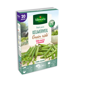 Pois Nain à Grain Ridé Kelmerveil - 20 m